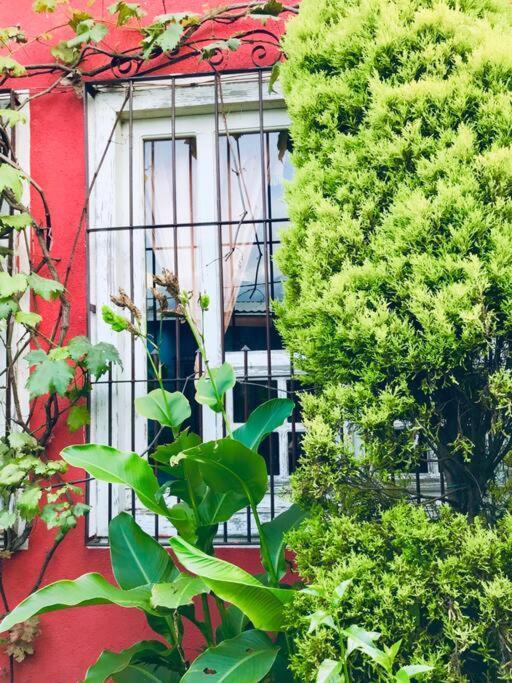 Casa I'X Lägenhet San Juan La Laguna Exteriör bild